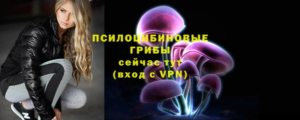 PSILOCYBIN Балабаново